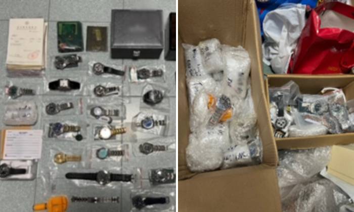 170 pieces of purported trademark-infringing goods were seized.